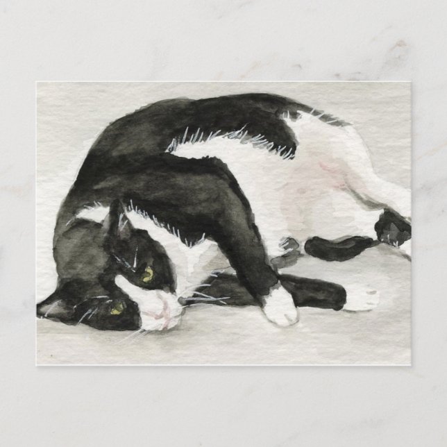 Postales artísticas de "Gato de Tuxedo cómodo" (Anverso)