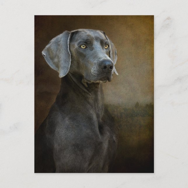 Postales azul renacentista (Anverso)