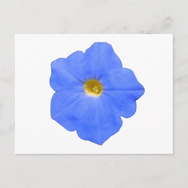 Postales azul y amarillo de Petunia (Anverso)