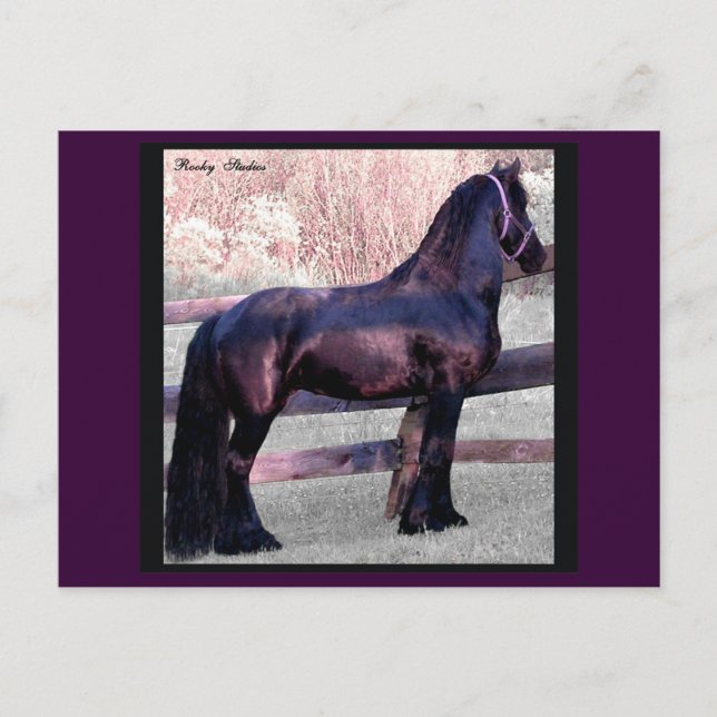 Postales barrocas para caballos, Personalizable (Anverso)