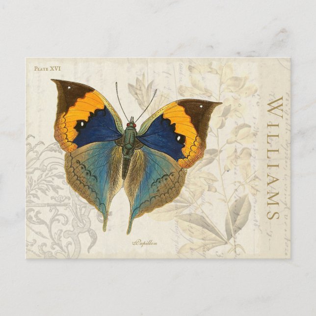 Postales botánicas de mariposa azul Naranja de épo (Anverso)