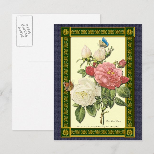 Postales botánicas de rosas blancas y rojas (Anverso / Reverso)
