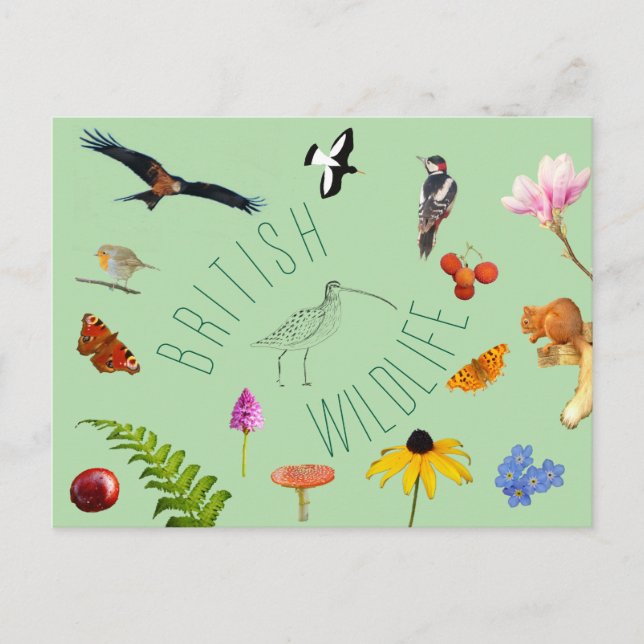 Postales británicas sobre vida silvestre (Anverso)