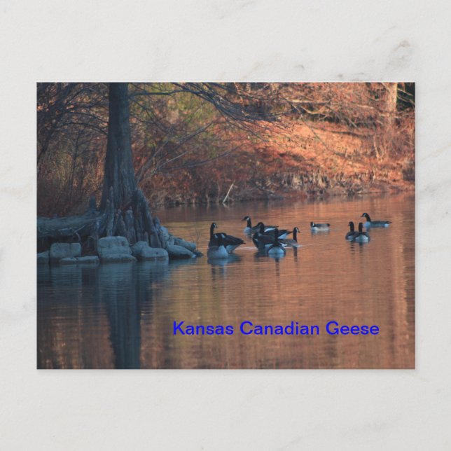 Postales canadienses de Kansas (Anverso)