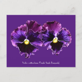Postales colectivas Fancy Purple Pansies