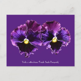 Postales colectivas Fancy Purple Pansies