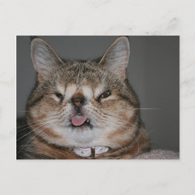 Postales cuasi (Anverso)