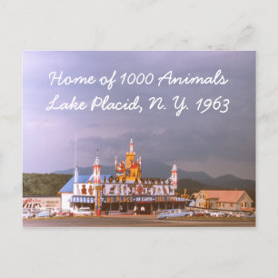Postales de 1000 Animales Lake Placid