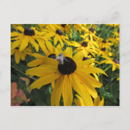 Postales de Abeja de Trabajador