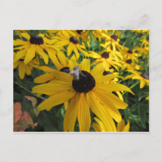 Postales de Abeja de Trabajador