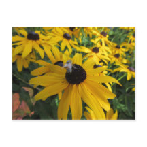 Postales de Abeja de Trabajador