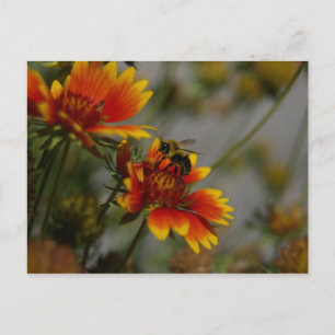 Postales de abejas y flores