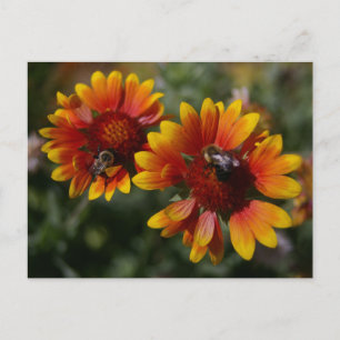 Postales de abejas y flores Naranjas