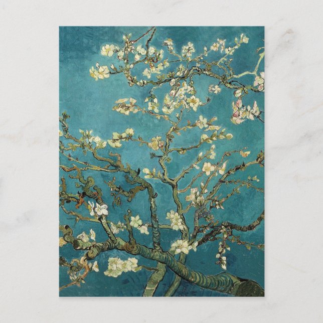 Postales de almond Blossom (Anverso)