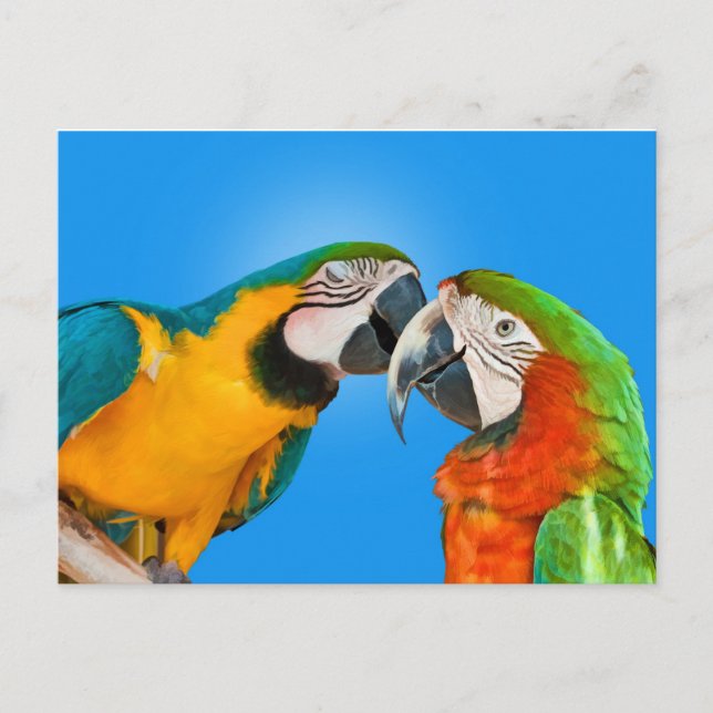 Postales de amor para loros (Anverso)