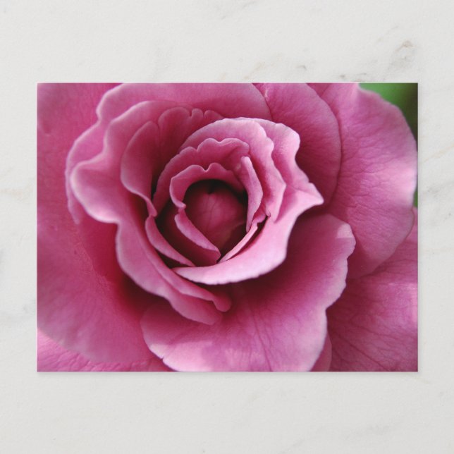 Postales de Angel Face II (Anverso)