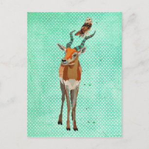 Postales de ANTELOPE y OWL
