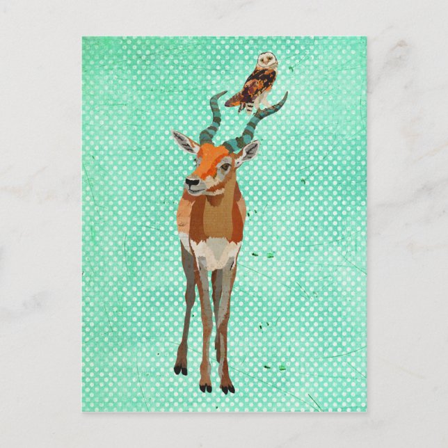 Postales de ANTELOPE y OWL (Anverso)