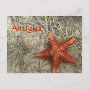 Postales de Antigua Starfish
