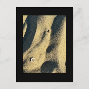 Postales de arena y sombras de Shell