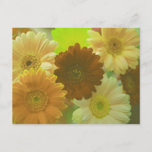 Postales de arte de fotos de flores de color amari