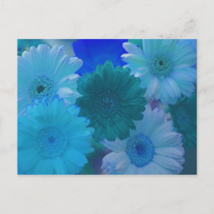 Postales de arte de fotos de la flor azul Gerbera