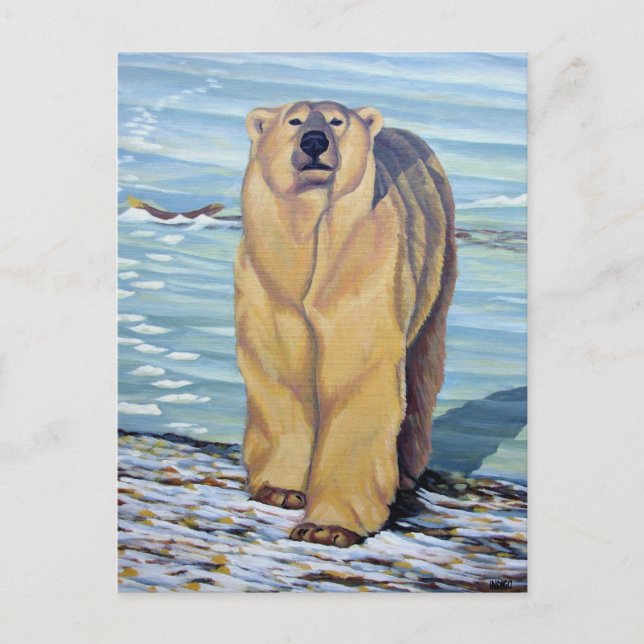Postales de arte de oso polar con tarjeta postal (Anverso)