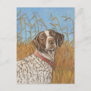 Postales de arte de perro de punteros de Shorthair