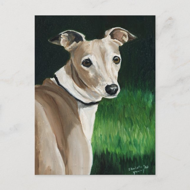 Postales de arte del perro original del Greyhound  (Anverso)