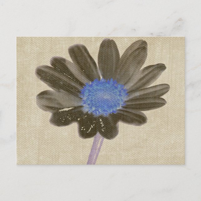 Postales de arte digital Daisy (Anverso)