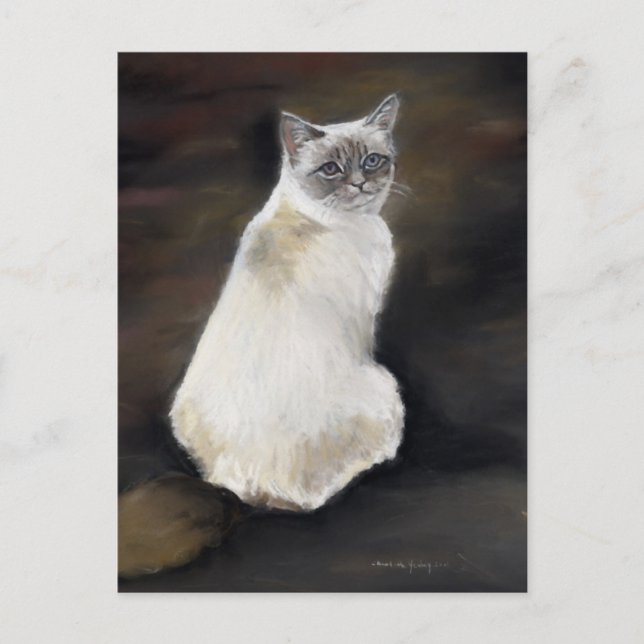 Postales de arte original de Ragdoll Cat (Anverso)