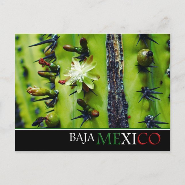 Postales de Baja México (Anverso)