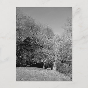 Postales de banca bajo árbol