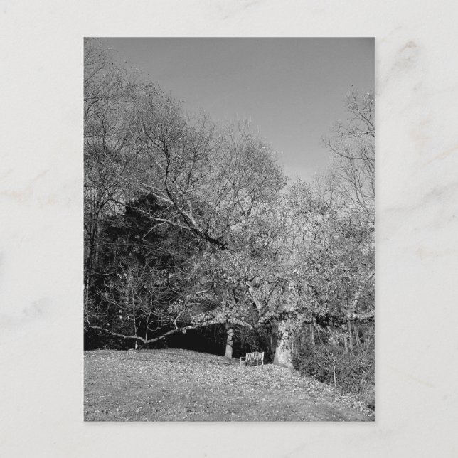 Postales de banca bajo árbol (Anverso)