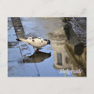 Postales de Belgrado