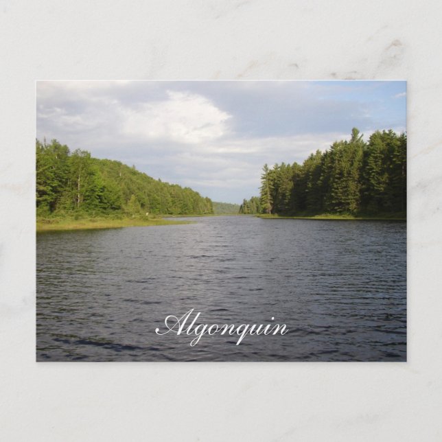 Postales de belleza de Algonquin (Anverso)
