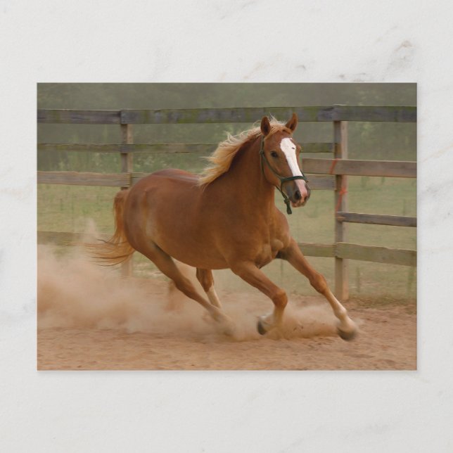 Postales de belleza marrón (Anverso)