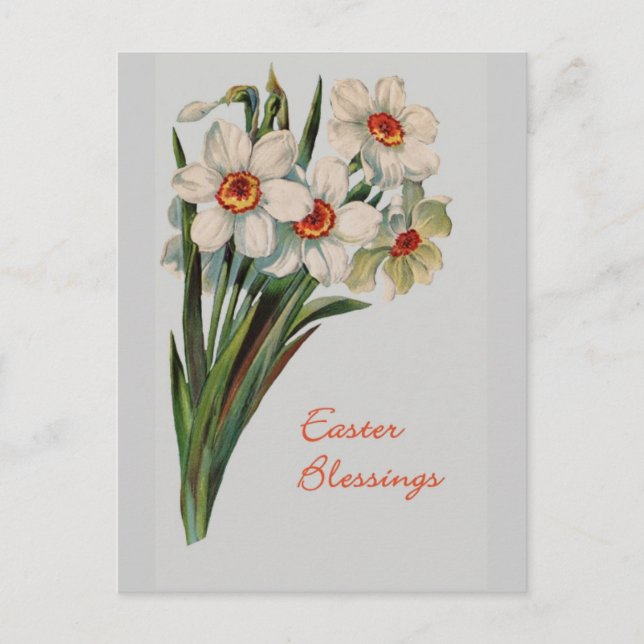 Postales de Bendición de Pascua (Anverso)