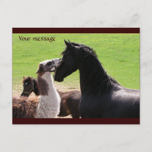 Postales de beso de Llama