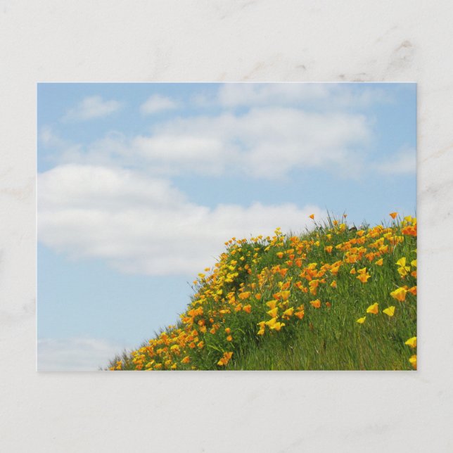 Postales de Blue Sky White Clouds Flower Hillside (Anverso)