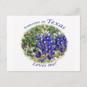 Postales de Bluebonnet "Alguien en Texas me ama"