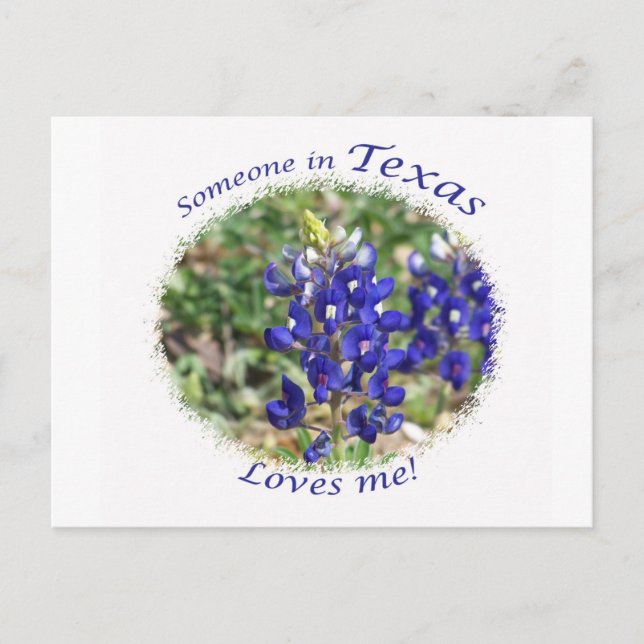 Postales de Bluebonnet "Alguien en Texas me ama" (Anverso)
