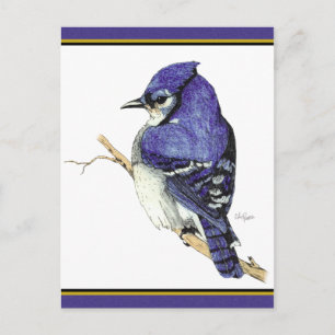 Postales de Bluejay 2