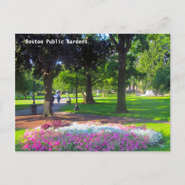 Postales de Boston Public Gardens (Anverso)