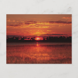 Postales de Botsuana con atardecer africano