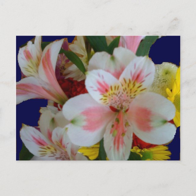 Postales de Bouquet Primavera (Anverso)