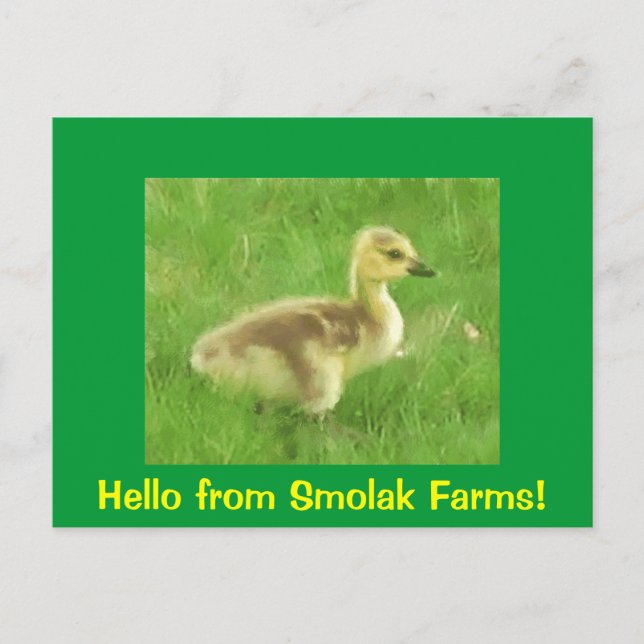 Postales de brillo (Anverso)