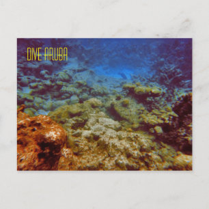 Postales de buceo Aruba