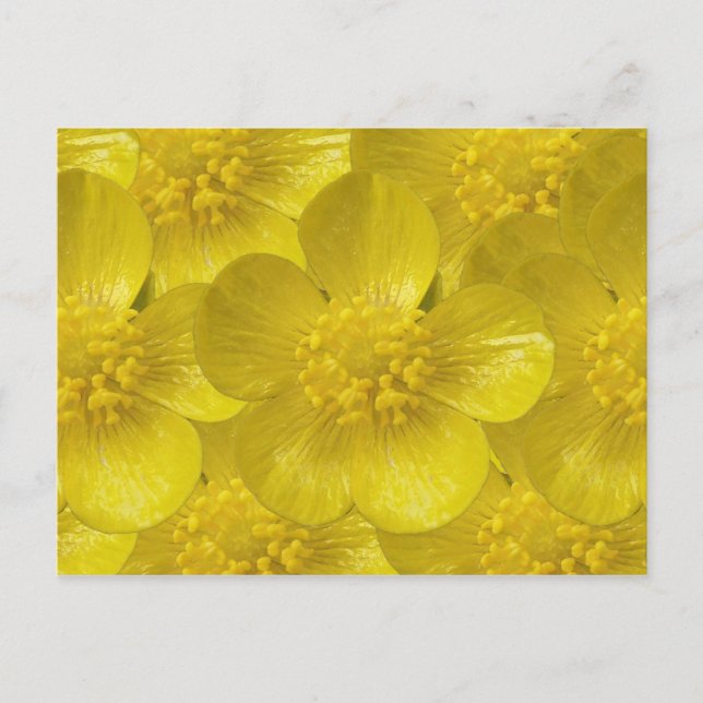 Postales de Butcup (Anverso)