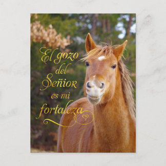 Postales de caballos sonrientes en la Biblia españ
